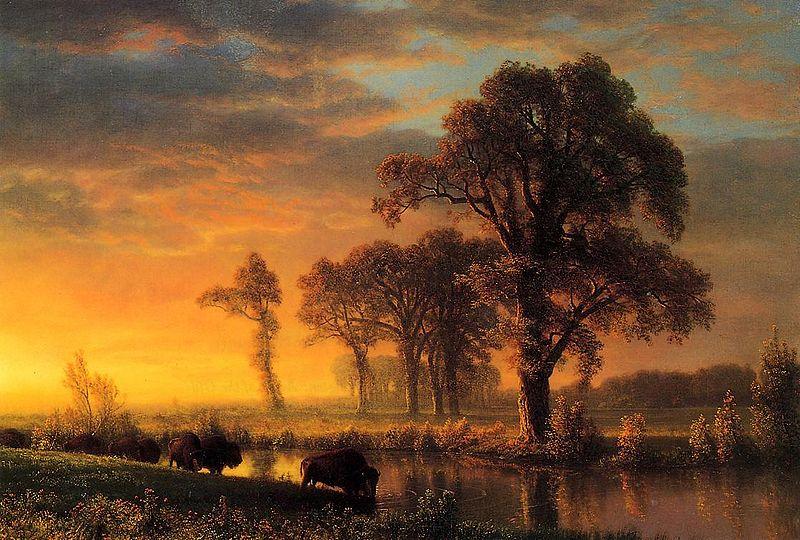 Albert Bierstadt Western Kansas oil painting picture